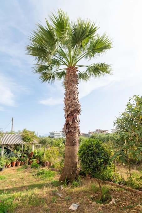 Dream House Apartment Preveza Bagian luar foto