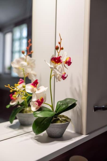 Dream House Apartment Preveza Bagian luar foto